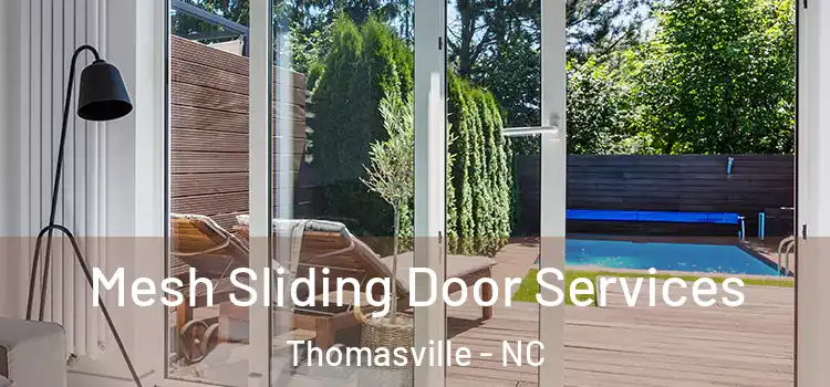 Mesh Sliding Door Services Thomasville - NC